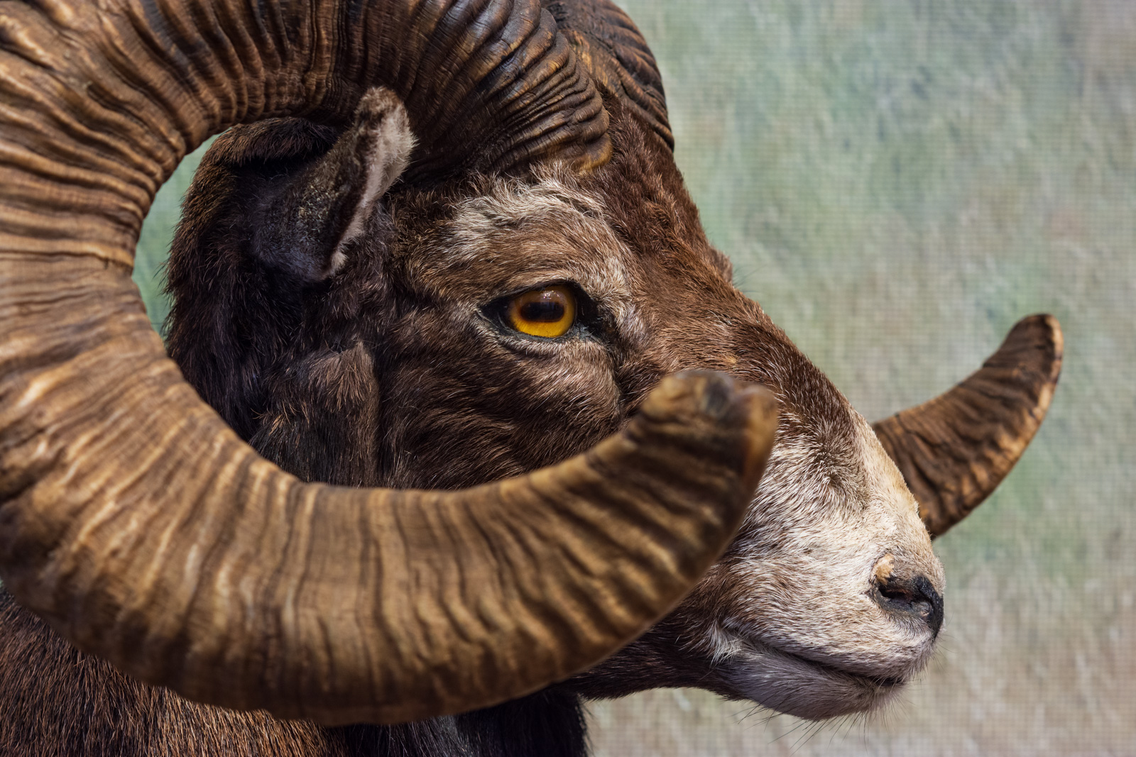 Muzeum Warmii i Mazur | Łukasz Kulicki